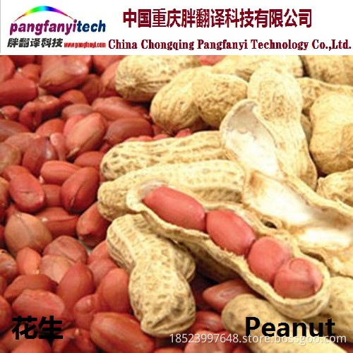 Natural Nutritional Self-produced Tasty Aromatic Peanut
